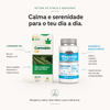 Rotina contra Stress e Ansiedade