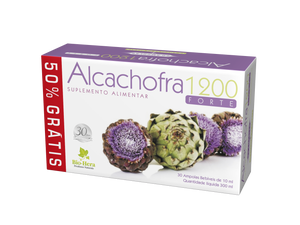 Artichoke 1200